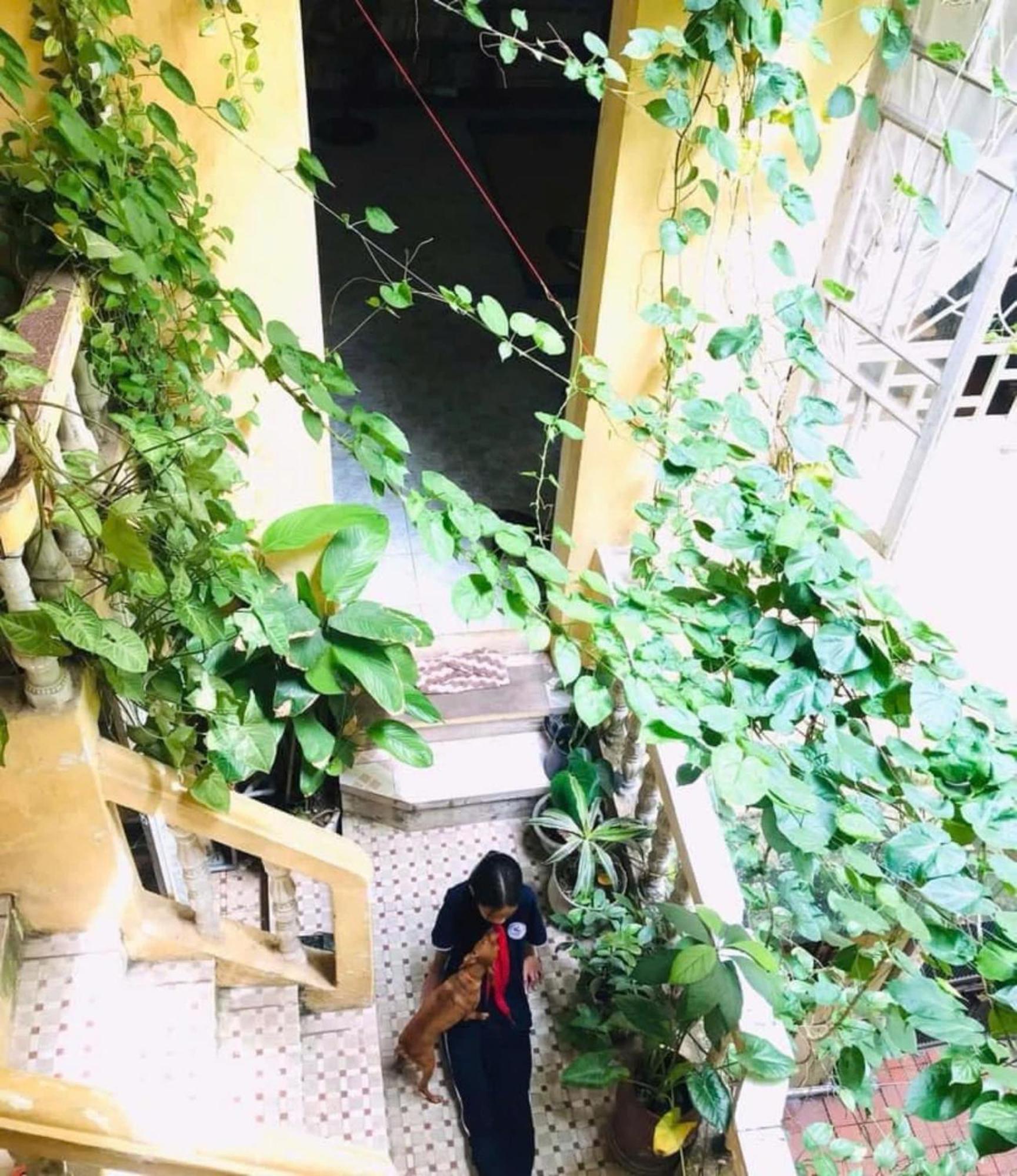 Azalea Apartment Hanoi Exterior photo