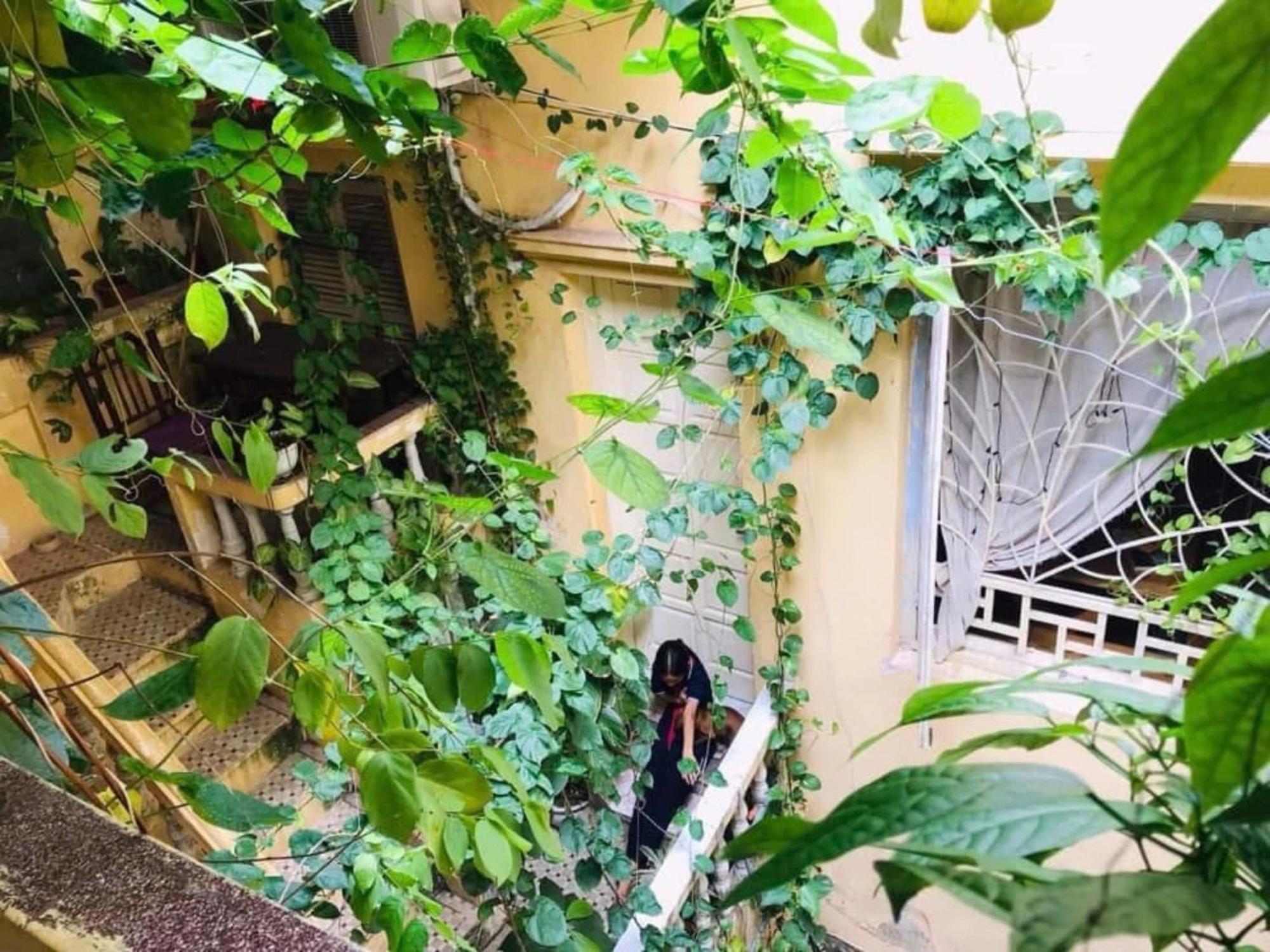 Azalea Apartment Hanoi Exterior photo